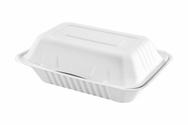 9x6" Large <br>Bagasse Box