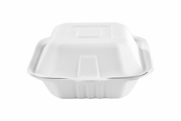 6" Large <br>Bagasse Box