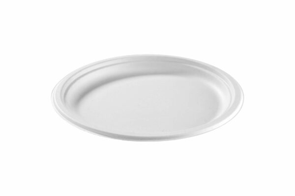 10" Round <br>Bagasse Plate