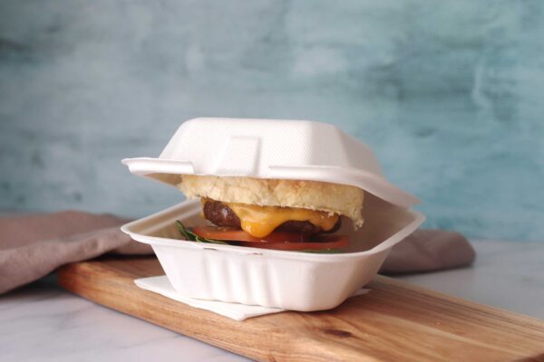 6" Large <br>Bagasse Box - Image 4