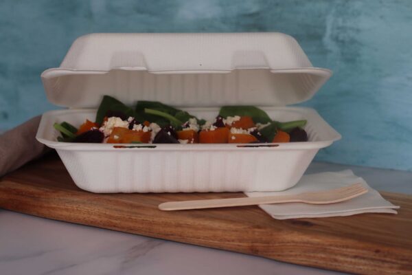 9x6" Large <br>Bagasse Box - Image 2
